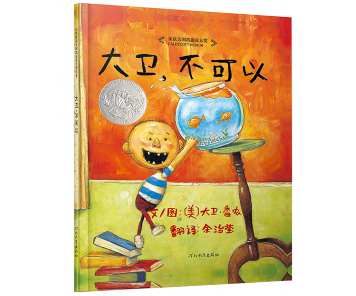 大卫，不可以